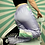Thumbnail: Vintage Pastel Track Bottoms